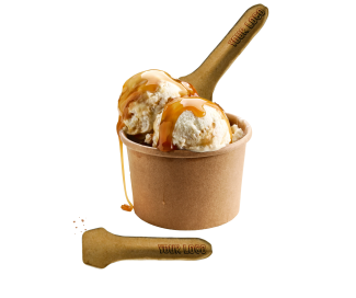 Ice cream Biscuit spoon in ice cream